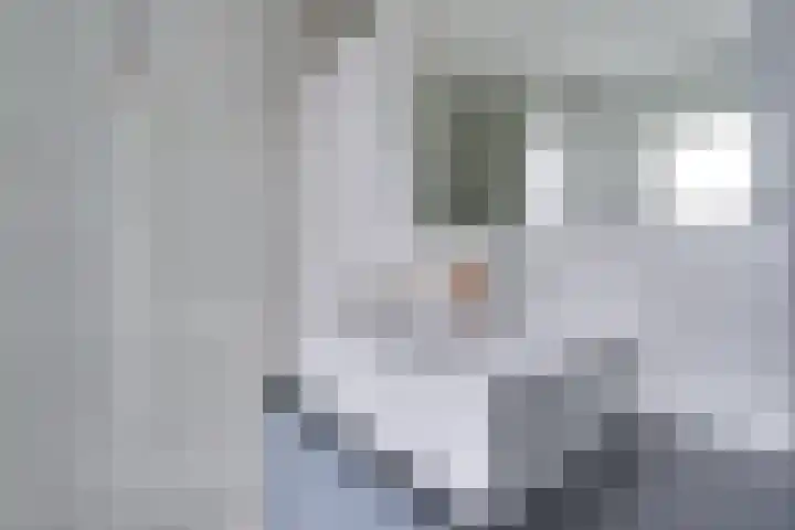 Dokter Lohmanstraat 28 Obdam thumbnail 35