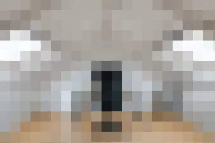 Dokter Lohmanstraat 28 Obdam thumbnail 39