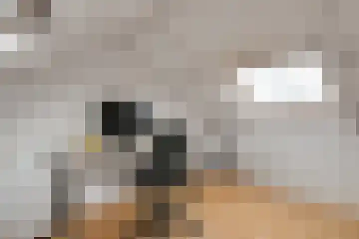 Dokter Lohmanstraat 28 Obdam thumbnail 42
