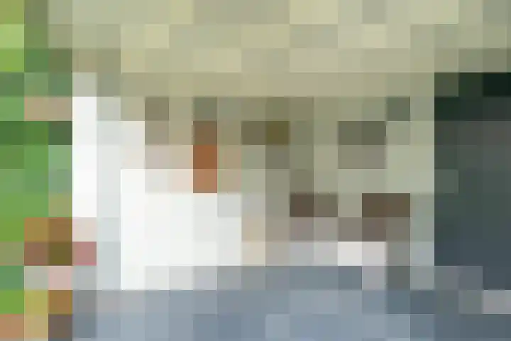 Dokter Lohmanstraat 28 Obdam thumbnail 48