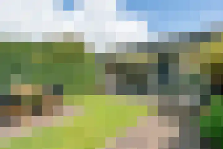Dokter Lohmanstraat 28 Obdam thumbnail 51