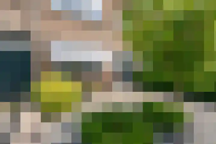 Dokter Lohmanstraat 28 Obdam thumbnail 57