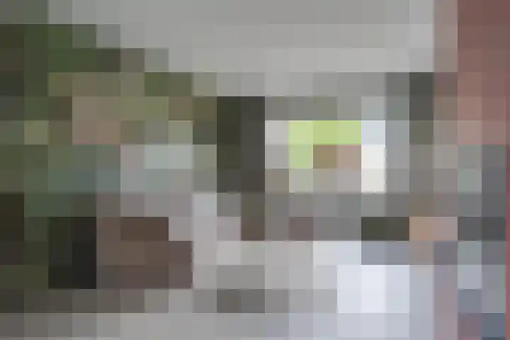 Dokter Lohmanstraat 28 Obdam thumbnail 6