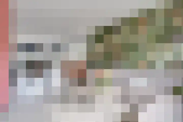 Dokter Lohmanstraat 28 Obdam thumbnail 7
