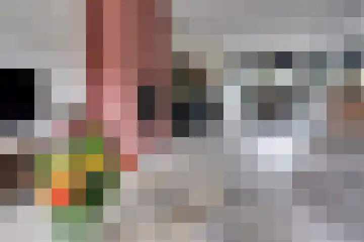 Dokter Lohmanstraat 28 Obdam thumbnail 8