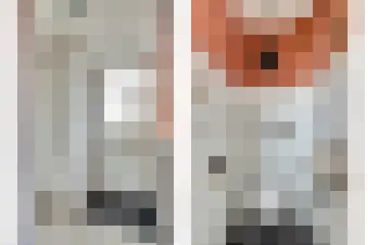 Dokter Lohmanstraat 78 Obdam thumbnail 7