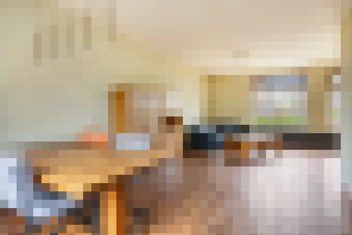Dokter Luijckxstraat 1 Sint Anthonis thumbnail 16