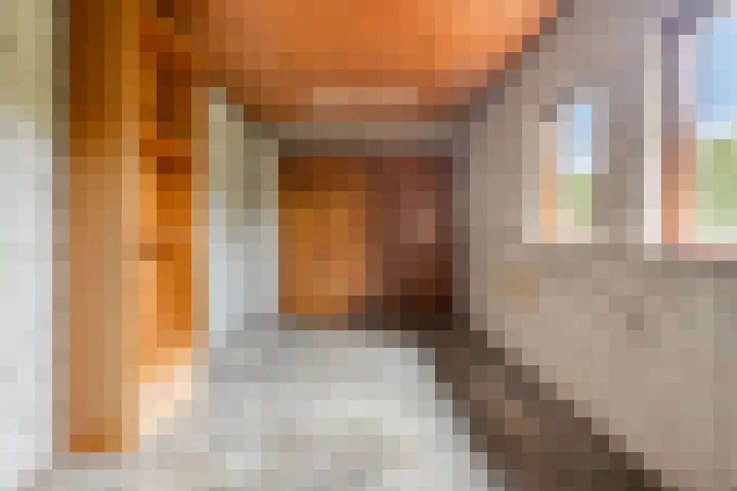 Dokter Luijckxstraat 1 Sint Anthonis thumbnail 22