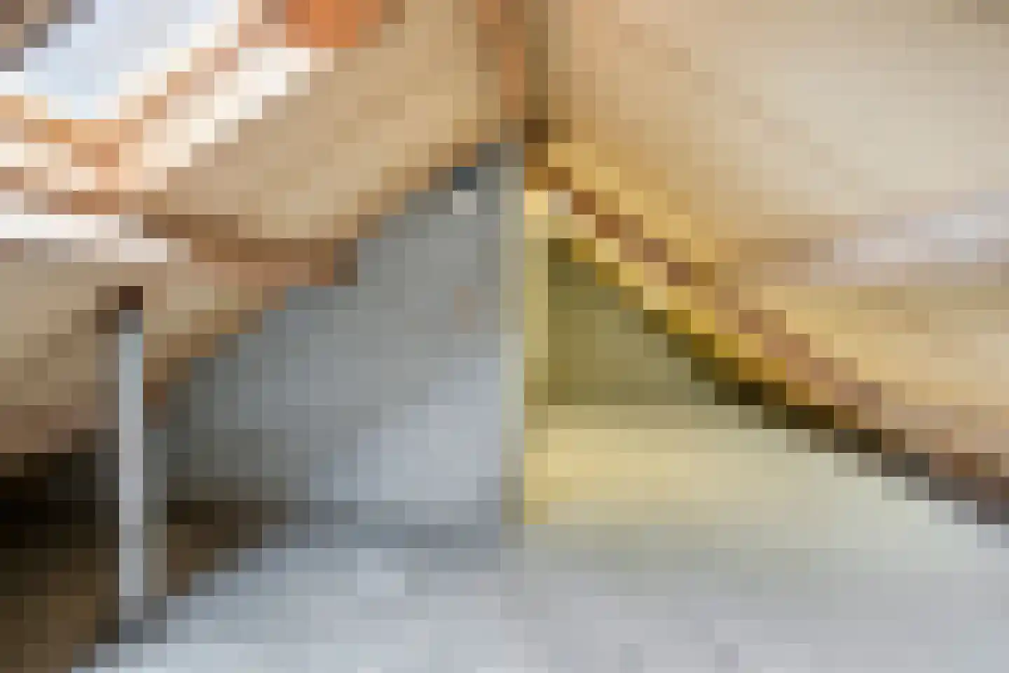 Dokter Luijckxstraat 1 Sint Anthonis thumbnail 24