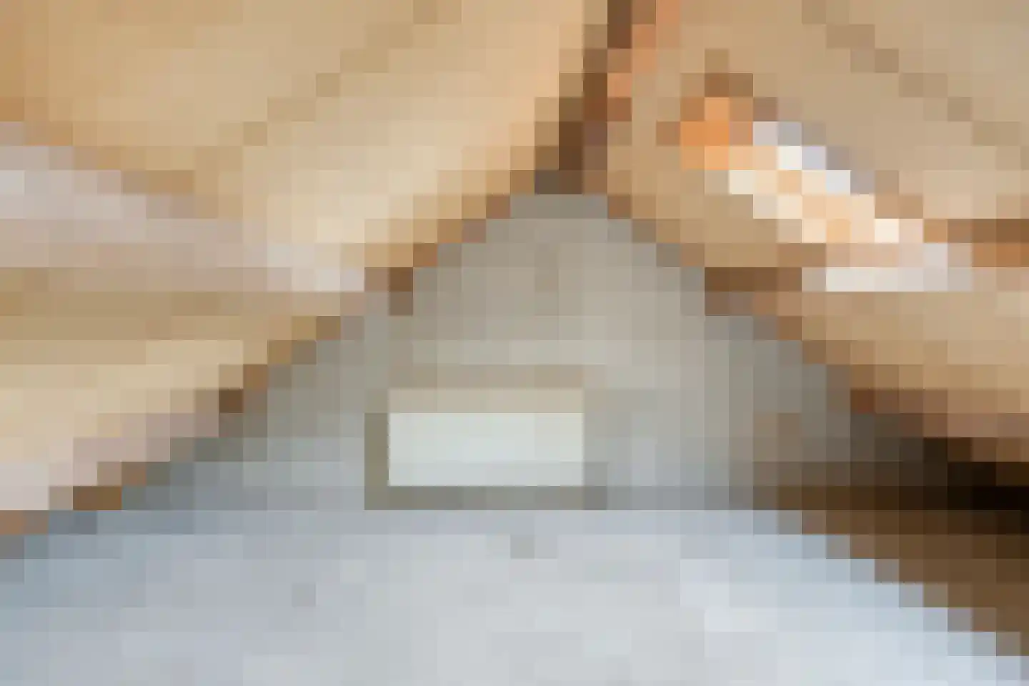 Dokter Luijckxstraat 1 Sint Anthonis thumbnail 25