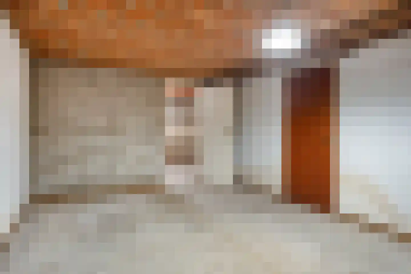 Dokter Luijckxstraat 1 Sint Anthonis thumbnail 28