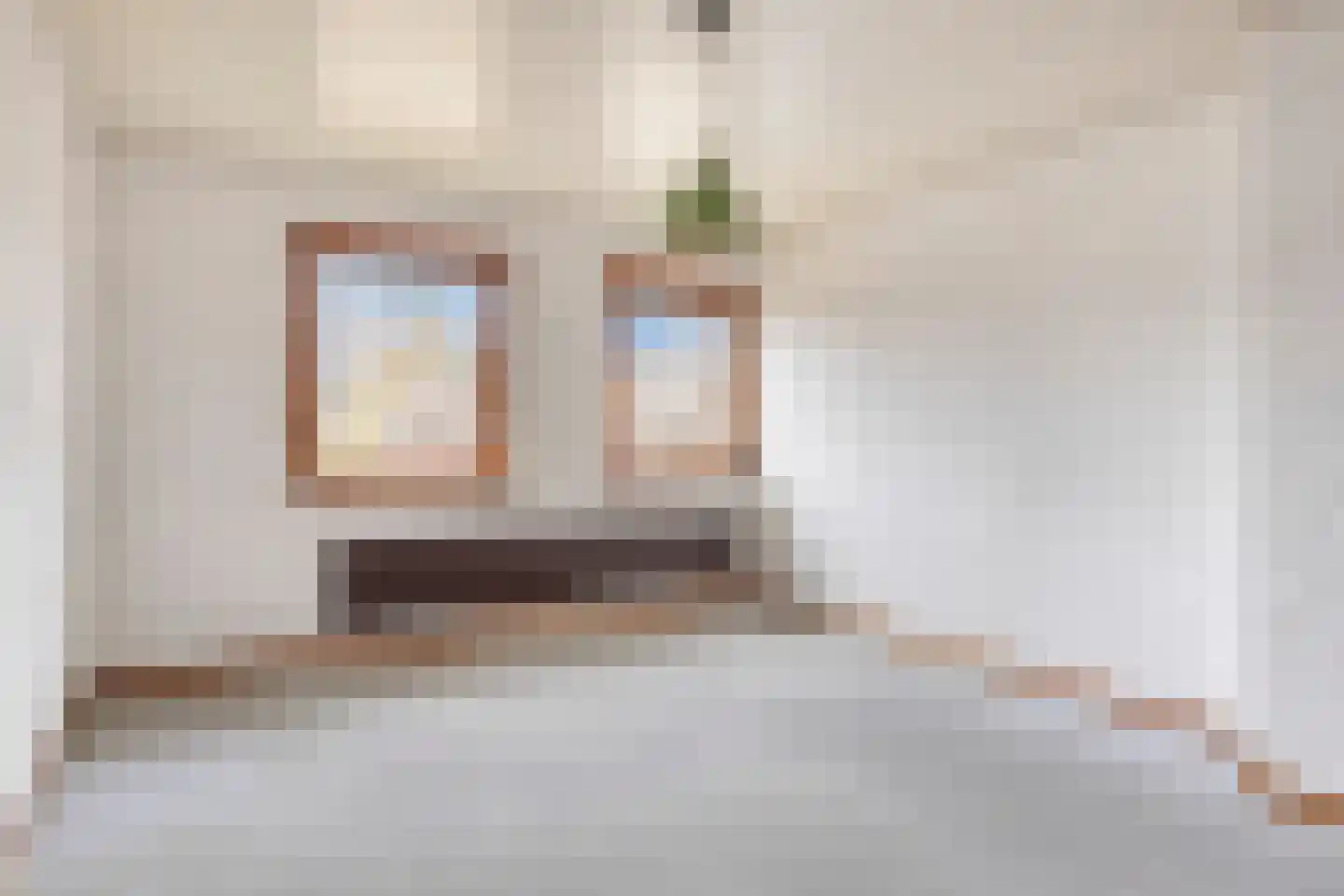 Dokter Luijckxstraat 1 Sint Anthonis thumbnail 32
