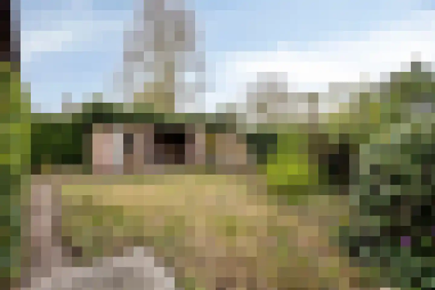 Dokter Luijckxstraat 1 Sint Anthonis thumbnail 46