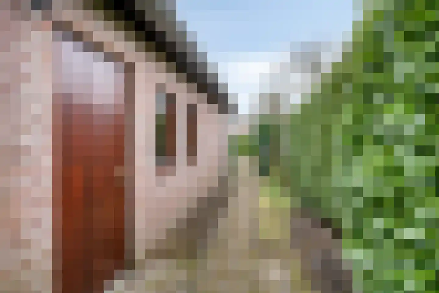 Dokter Luijckxstraat 1 Sint Anthonis thumbnail 48