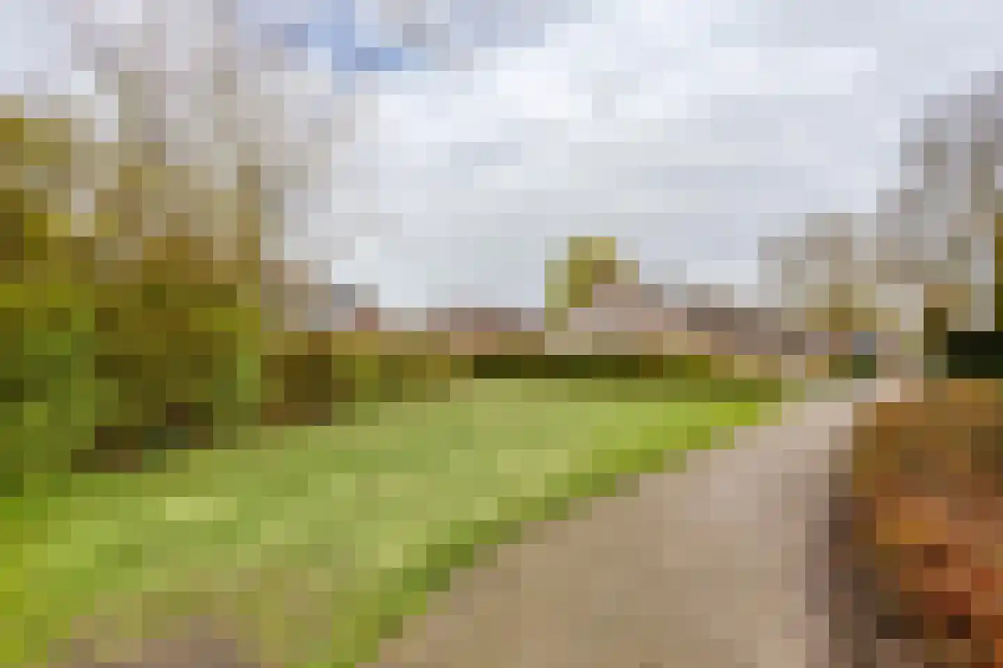 Dokter Luijckxstraat 1 Sint Anthonis thumbnail 49