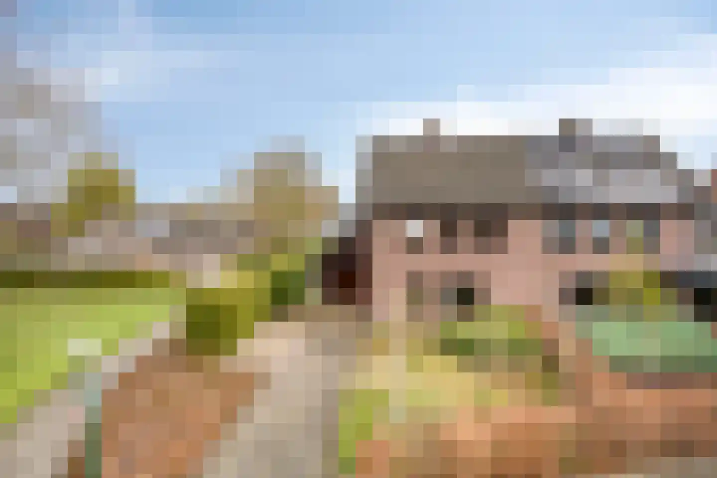 Dokter Luijckxstraat 1 Sint Anthonis thumbnail 6