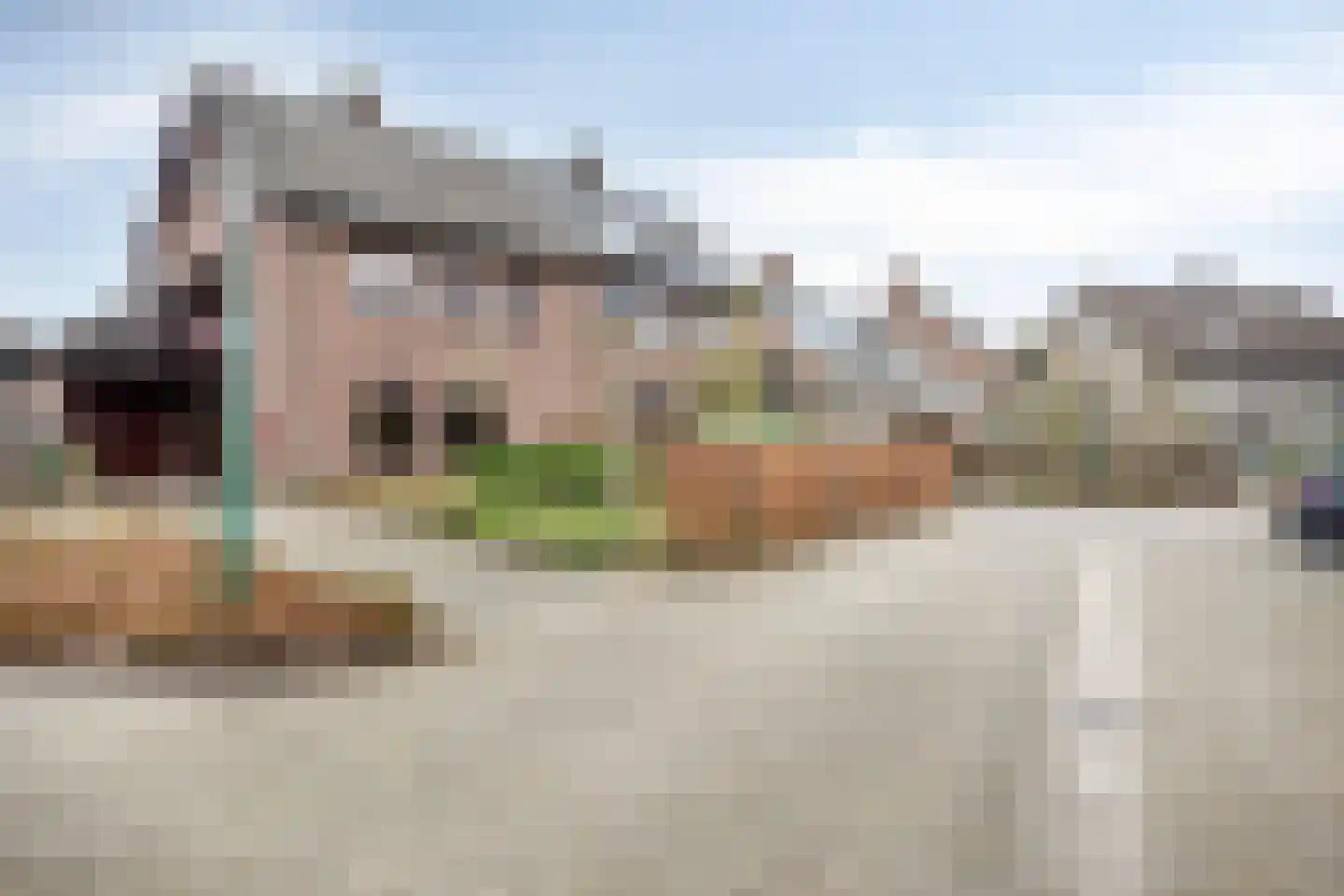 Dokter Luijckxstraat 1 Sint Anthonis thumbnail 7