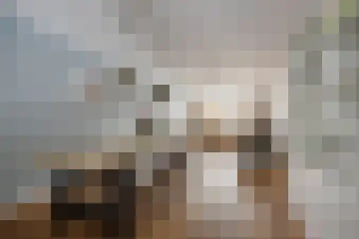 Dokter Luijckxstraat 9 Sint Anthonis thumbnail 8