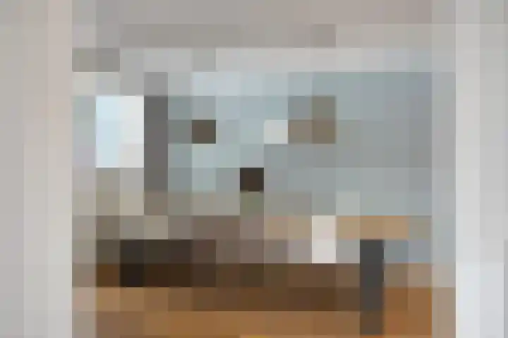 Dokter Luijckxstraat 9 Sint Anthonis thumbnail 9