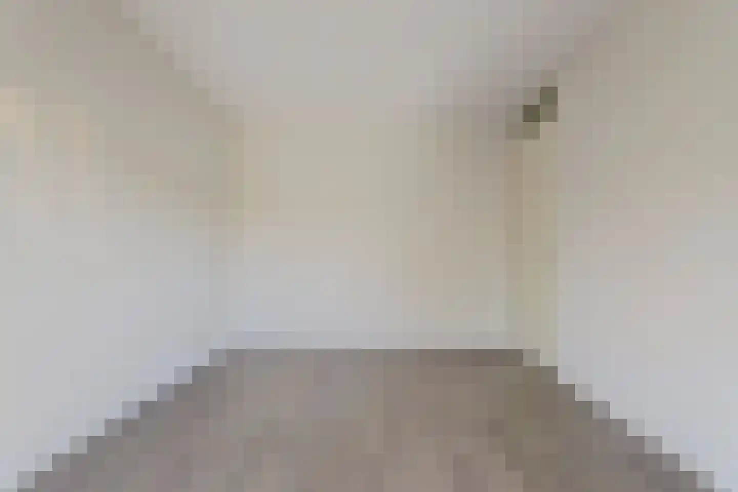 Dokter Maasstraat 1 a Colijnsplaat thumbnail 13
