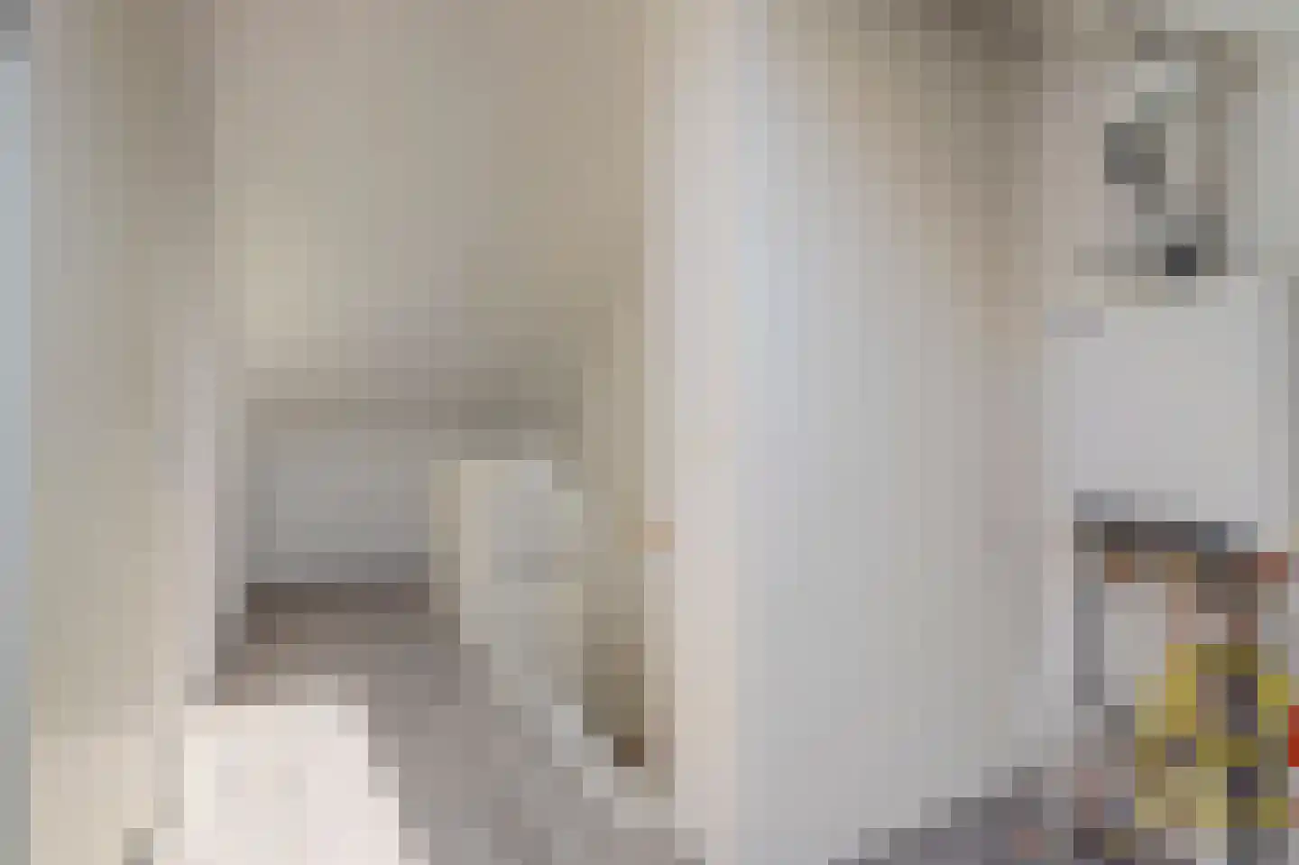 Dokter Maasstraat 1 a Colijnsplaat thumbnail 19