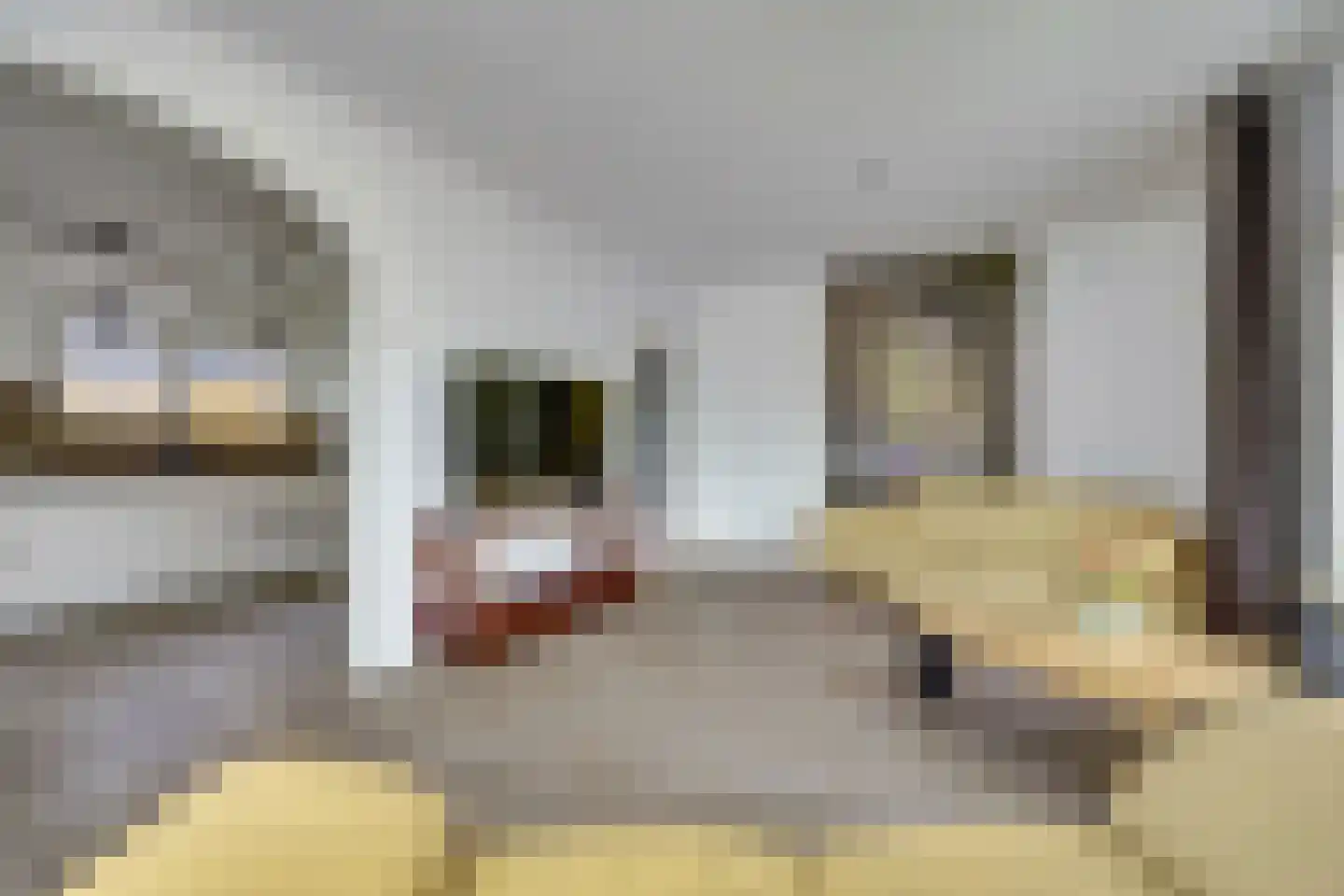 Dokter Maasstraat 2 Colijnsplaat thumbnail 12
