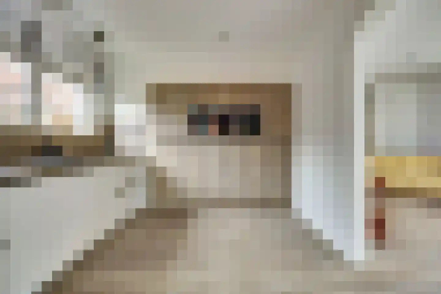 Dokter Maasstraat 2 Colijnsplaat thumbnail 14