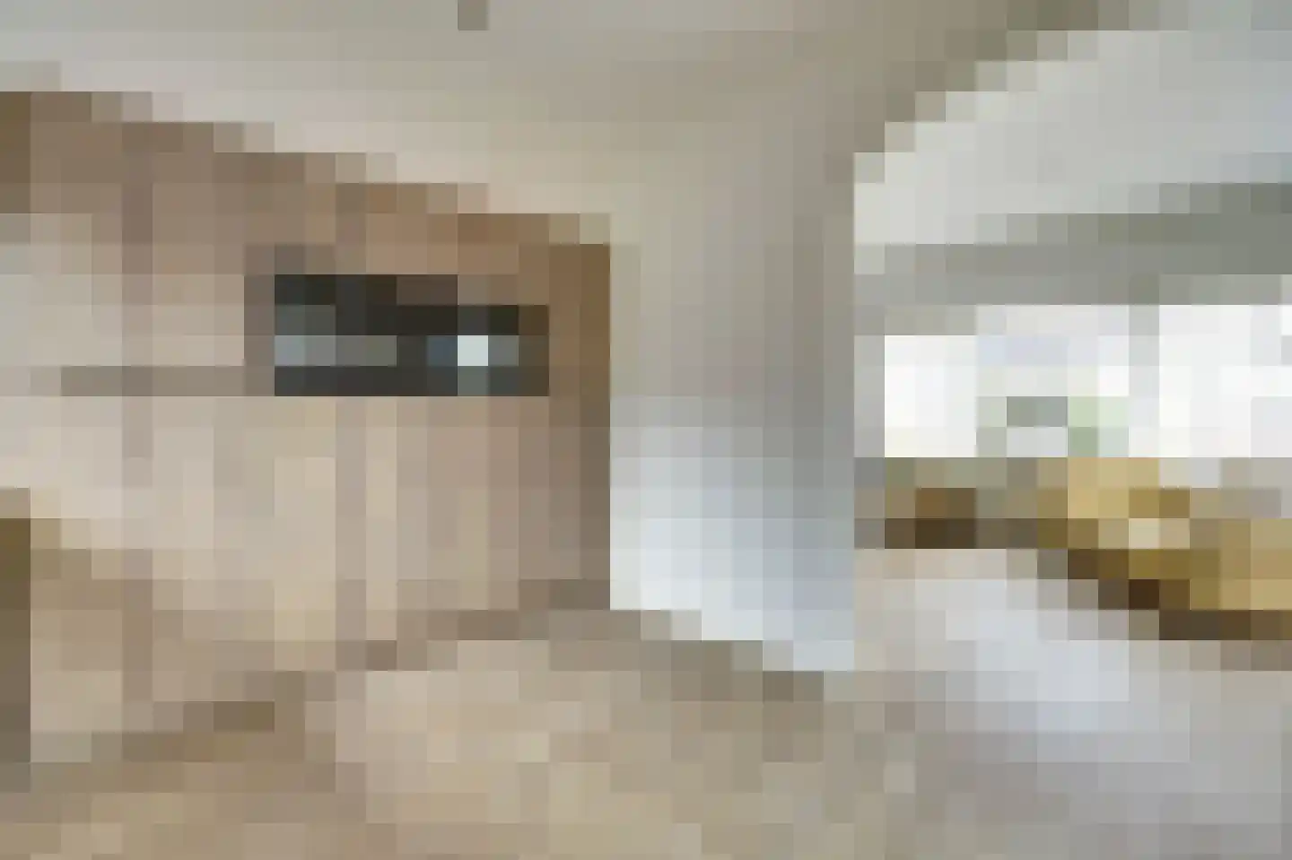 Dokter Maasstraat 2 Colijnsplaat thumbnail 15