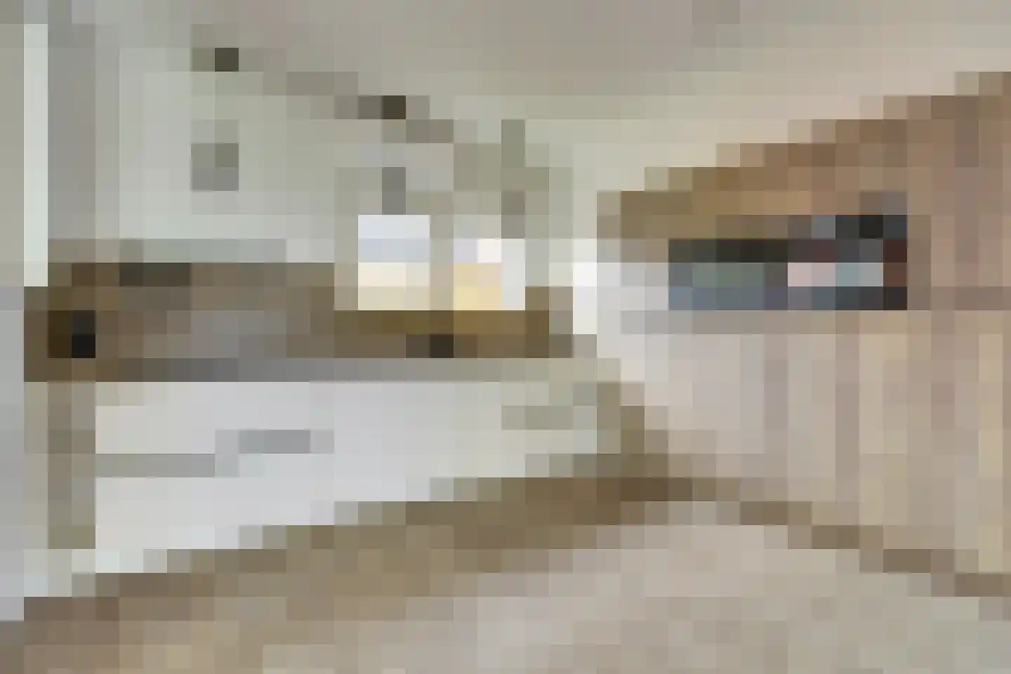 Dokter Maasstraat 2 Colijnsplaat foto 2