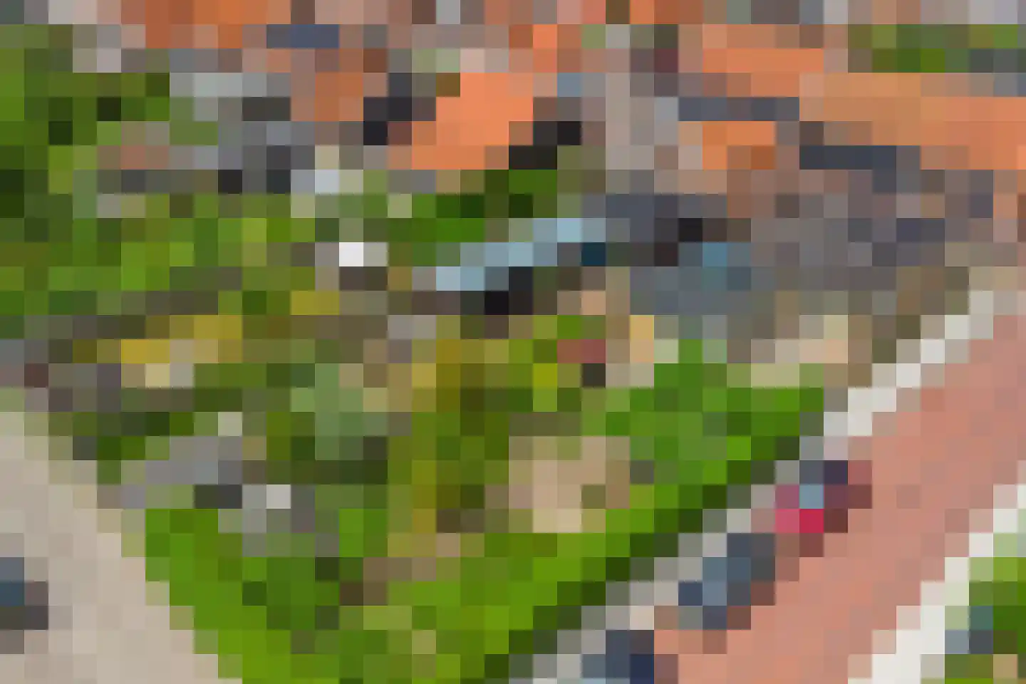 Dokter Maasstraat 2 Colijnsplaat thumbnail 45