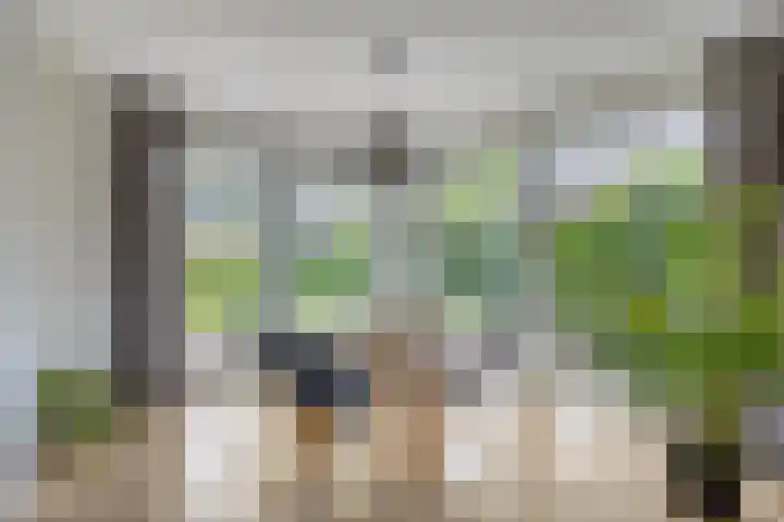 Dokter Mansholtweg 6 Tolbert thumbnail 10