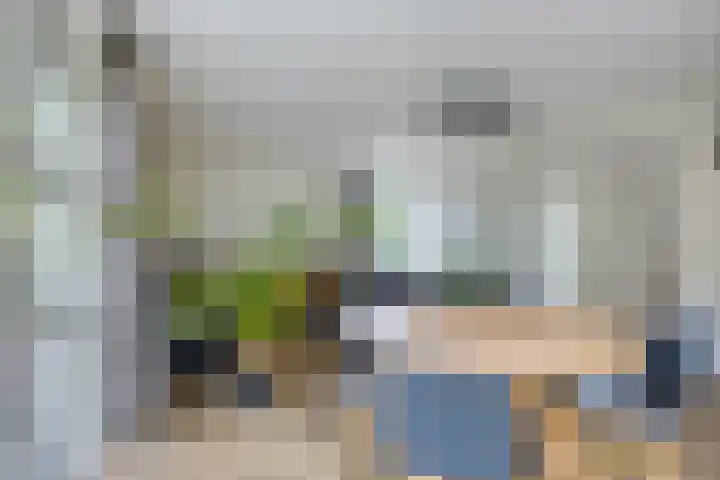 Dokter Mansholtweg 6 Tolbert thumbnail 11