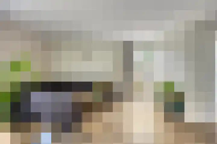 Dokter Mansholtweg 6 Tolbert thumbnail 12