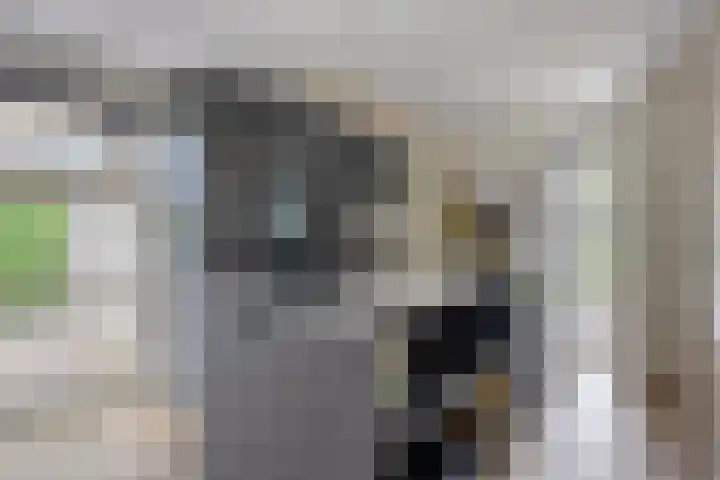 Dokter Mansholtweg 6 Tolbert thumbnail 14