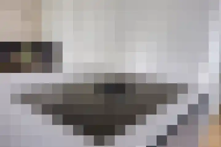 Dokter Mansholtweg 6 Tolbert thumbnail 16