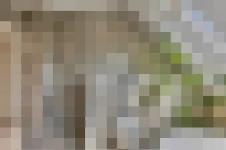 Dokter Mansholtweg 6 Tolbert thumbnail 21