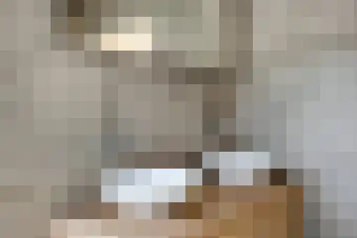 Dokter Mansholtweg 6 Tolbert thumbnail 22