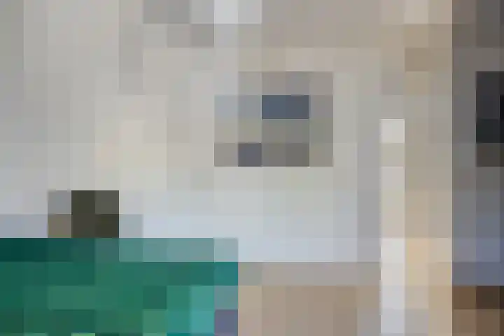 Dokter Mansholtweg 6 Tolbert thumbnail 26