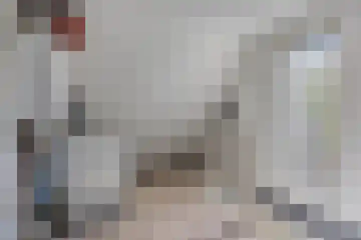 Dokter Mansholtweg 6 Tolbert thumbnail 34