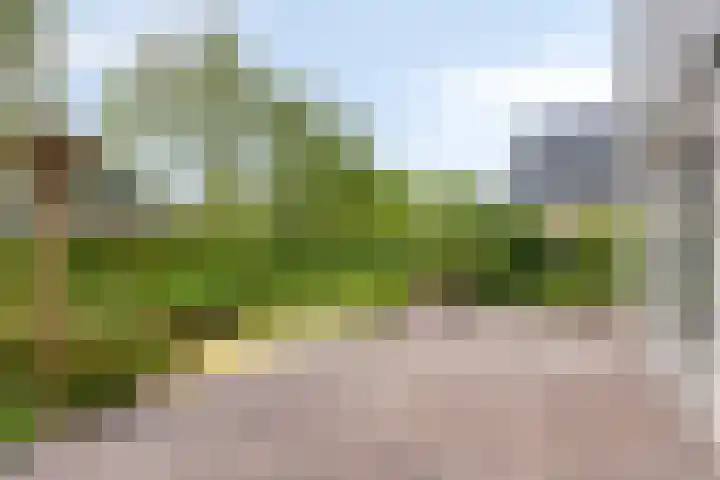 Dokter Mansholtweg 6 Tolbert thumbnail 36