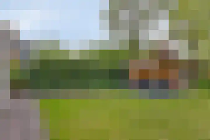 Dokter Mansholtweg 6 Tolbert thumbnail 37