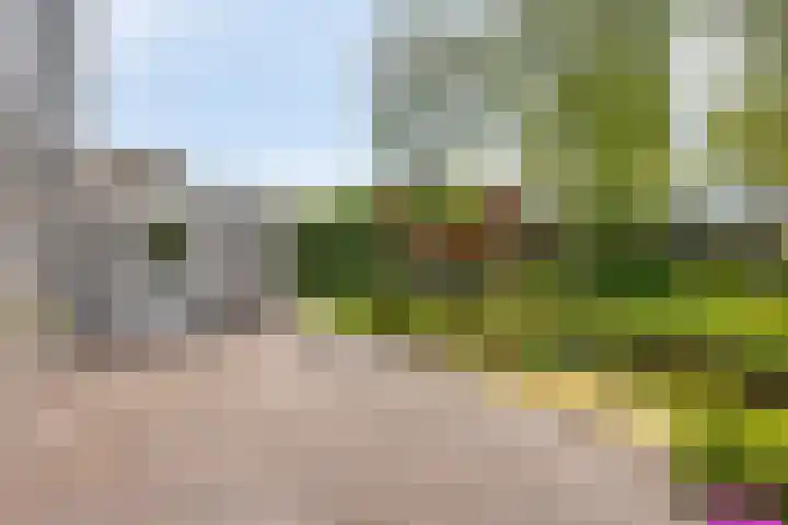 Dokter Mansholtweg 6 Tolbert thumbnail 39