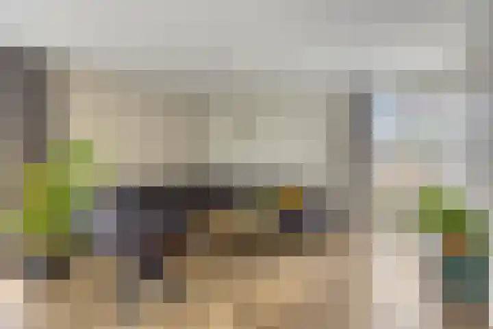 Dokter Mansholtweg 6 Tolbert thumbnail 4