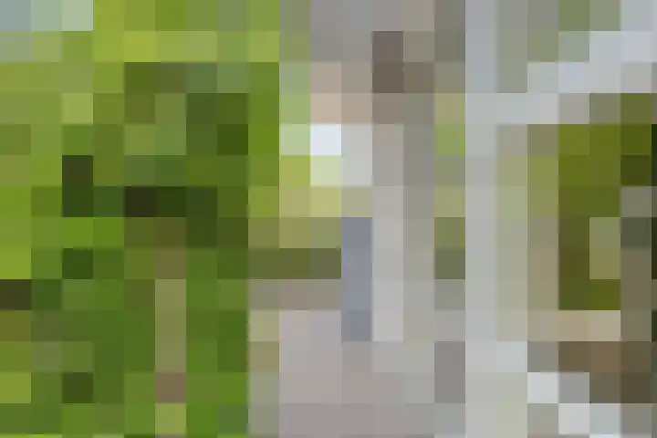 Dokter Mansholtweg 6 Tolbert thumbnail 40