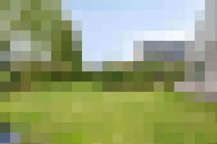 Dokter Mansholtweg 6 Tolbert thumbnail 41