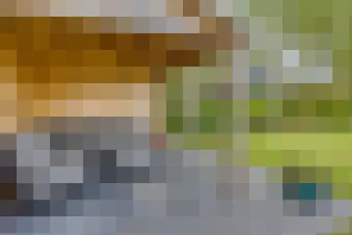 Dokter Mansholtweg 6 Tolbert thumbnail 42
