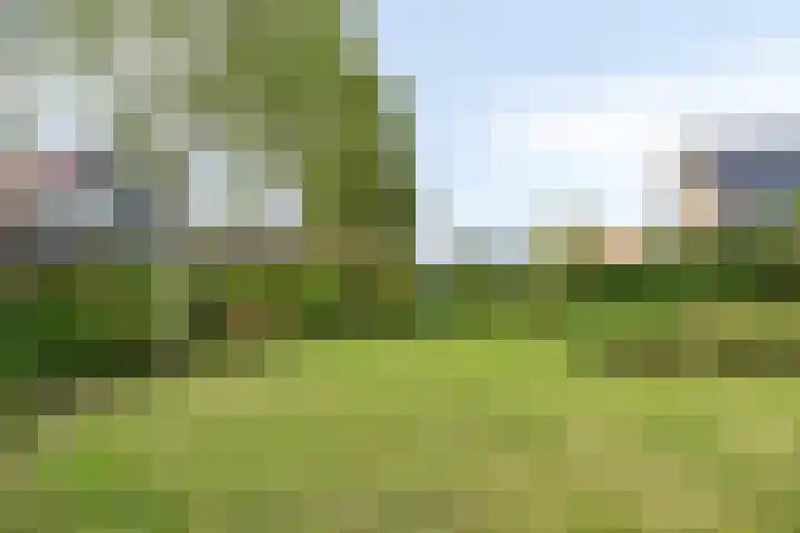 Dokter Mansholtweg 6 Tolbert thumbnail 43