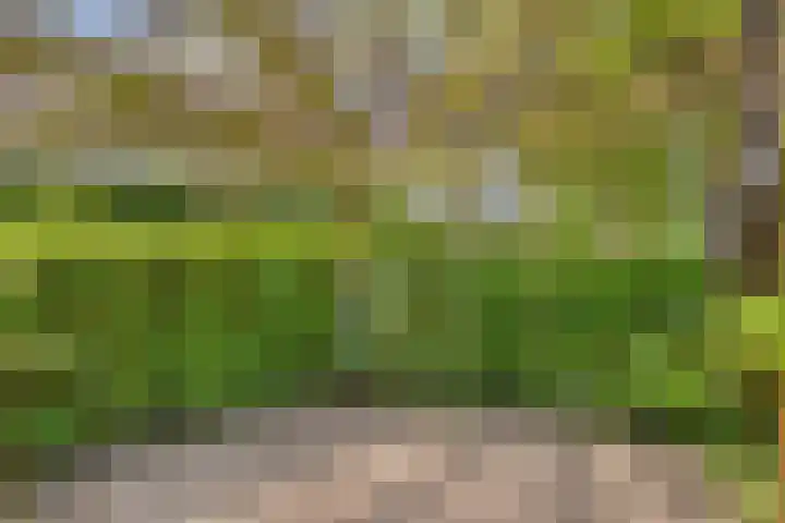 Dokter Mansholtweg 6 Tolbert thumbnail 44