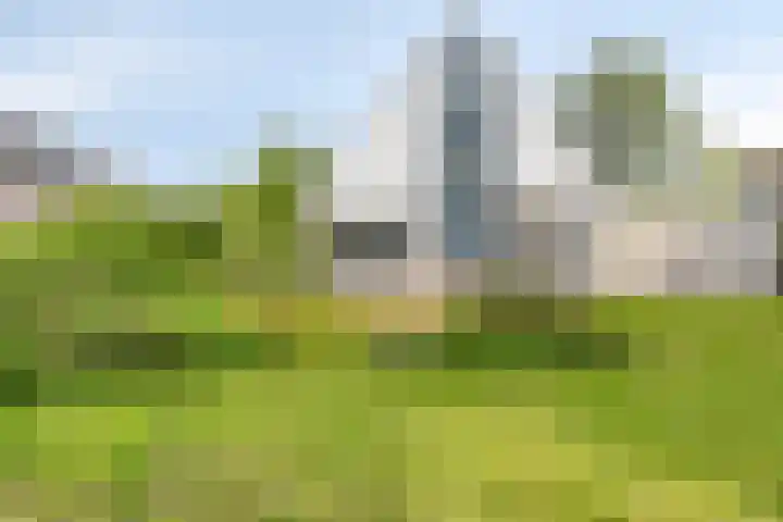 Dokter Mansholtweg 6 Tolbert thumbnail 45