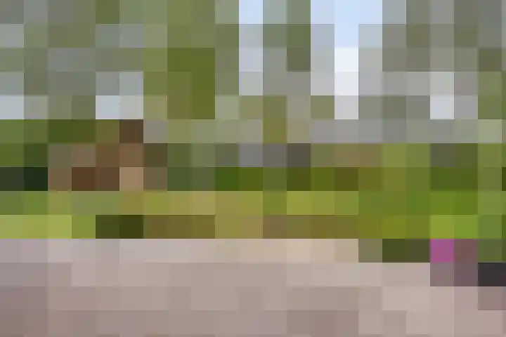 Dokter Mansholtweg 6 Tolbert thumbnail 5
